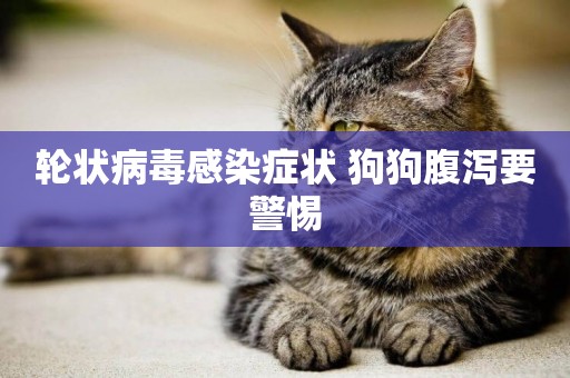 輪狀病毒感染癥狀 狗狗腹瀉要警惕