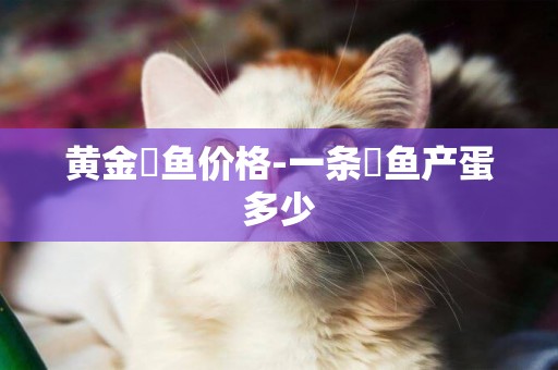 黃金鳉魚價格-一條鳉魚產蛋多少