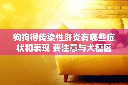 狗狗得傳染性肝炎有哪些癥狀和表現 要注意與犬瘟區分哦