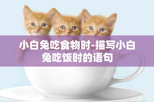 小白兔吃食物時-描寫小白兔吃飯時的語句