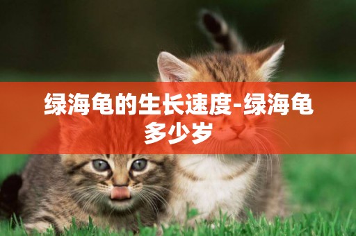 綠海龜的生長速度-綠海龜多少歲