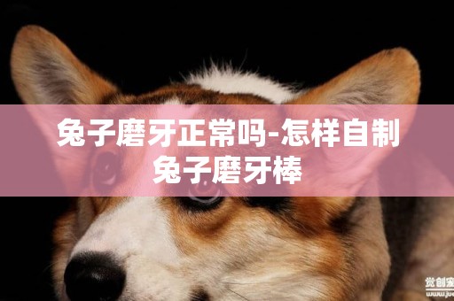 兔子磨牙正常嗎-怎樣自制兔子磨牙棒