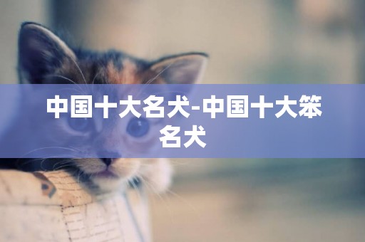 中國十大名犬-中國十大笨名犬