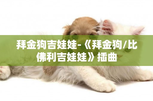 拜金狗吉娃娃-《拜金狗/比佛利吉娃娃》插曲