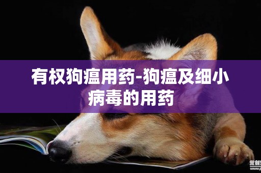 有權狗瘟用藥-狗瘟及細小病毒的用藥