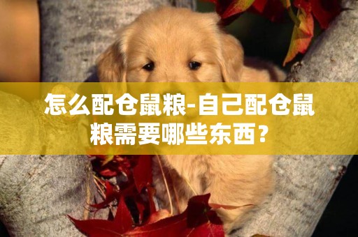 怎么配倉鼠糧-自己配倉鼠糧需要哪些東西？