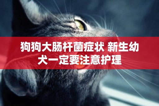 狗狗大腸桿菌癥狀 新生幼犬一定要注意護理