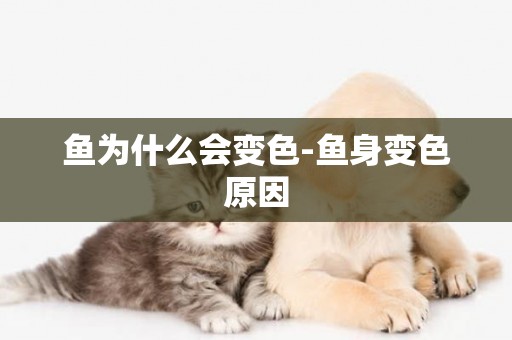 魚為什么會變色-魚身變色原因