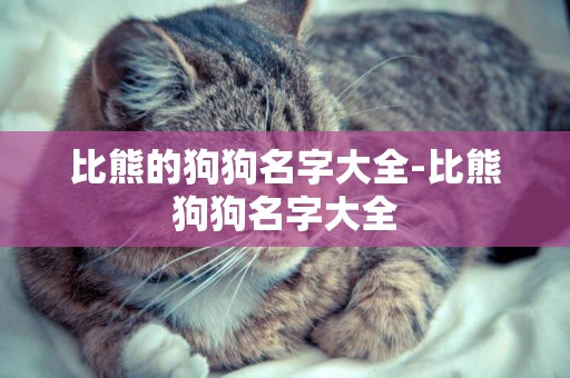 比熊的狗狗名字大全-比熊狗狗名字大全