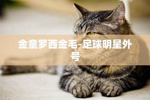 金童羅西金毛-足球明星外號
