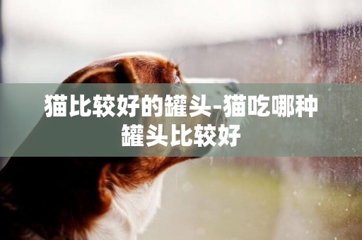 貓比較好的罐頭-貓吃哪種罐頭比較好