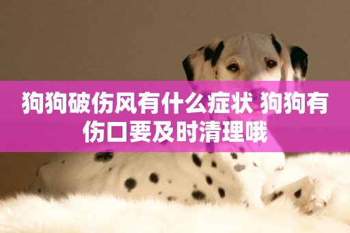 狗狗破傷風有什么癥狀 狗狗有傷口要及時清理哦