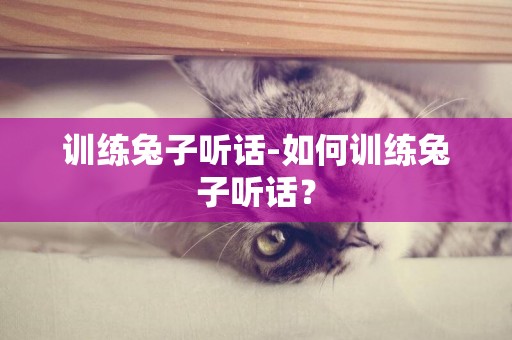 訓練兔子聽話-如何訓練兔子聽話？