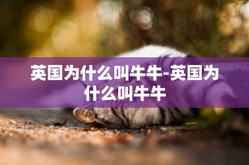 英國為什么叫牛牛-英國為什么叫牛牛