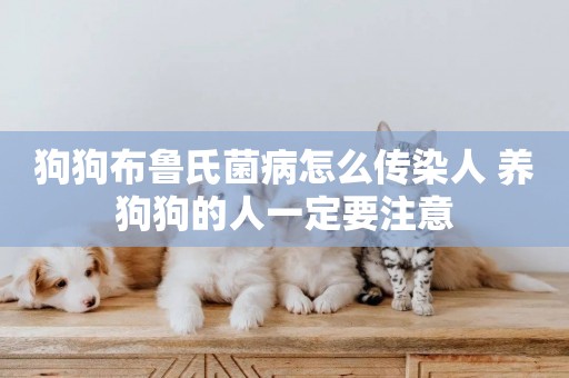狗狗布魯氏菌病怎么傳染人 養狗狗的人一定要注意