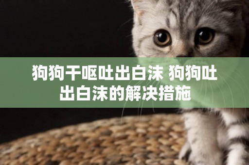 狗狗干嘔吐出白沫 狗狗吐出白沫的解決措施