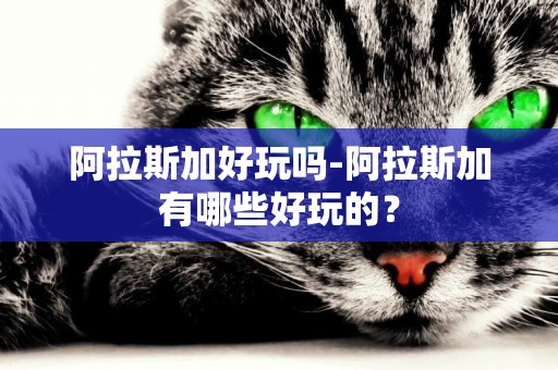 阿拉斯加好玩嗎-阿拉斯加有哪些好玩的？