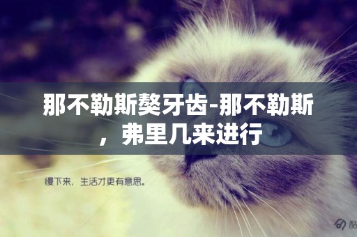 那不勒斯獒牙齒-那不勒斯，弗里幾來進行