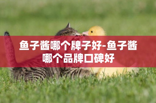 魚子醬哪個牌子好-魚子醬哪個品牌口碑好