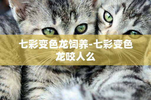 七彩變色龍飼養-七彩變色龍咬人么