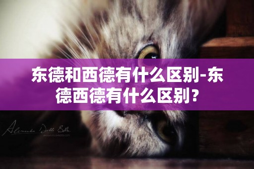東德和西德有什么區別-東德西德有什么區別？