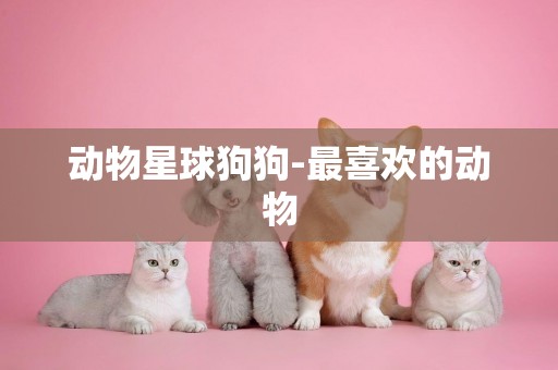 動物星球狗狗-最喜歡的動物