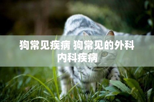 狗常見疾病 狗常見的外科內科疾病