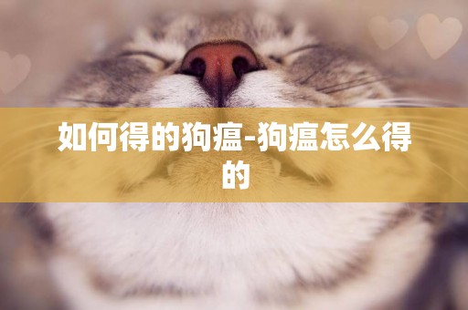 如何得的狗瘟-狗瘟怎么得的