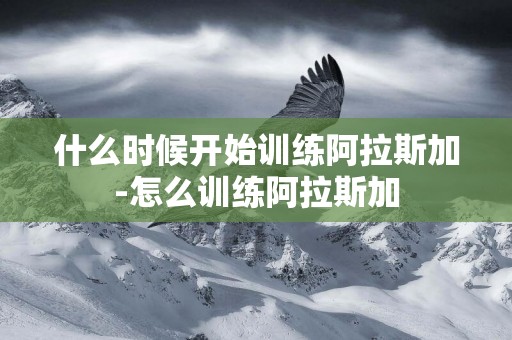 什么時候開始訓練阿拉斯加-怎么訓練阿拉斯加