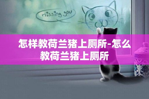 怎樣教荷蘭豬上廁所-怎么教荷蘭豬上廁所