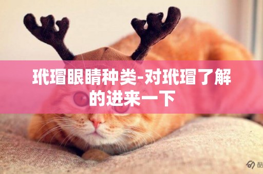 玳瑁眼睛種類-對玳瑁了解的進來一下