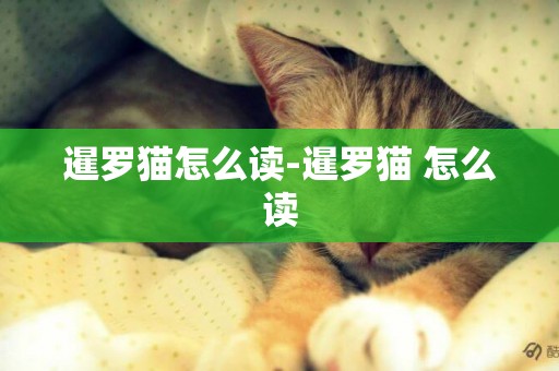 暹羅貓怎么讀-暹羅貓?怎么讀