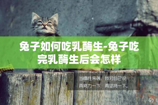 兔子如何吃乳酶生-兔子吃完乳酶生后會怎樣