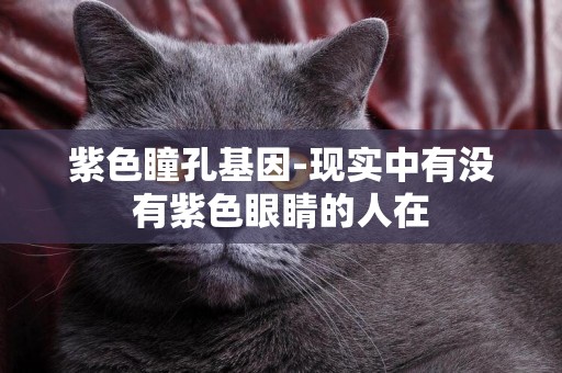 紫色瞳孔基因-現實中有沒有紫色眼睛的人在