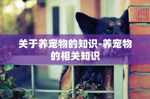 關于養寵物的知識-養寵物的相關知識