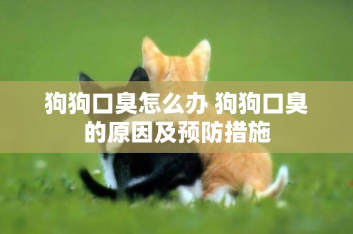 狗狗口臭怎么辦 狗狗口臭的原因及預防措施