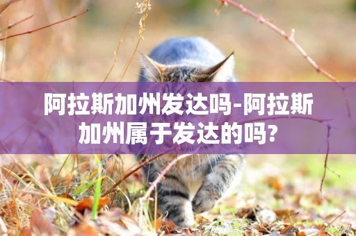 阿拉斯加州發達嗎-阿拉斯加州屬于發達的嗎?