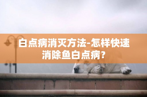 白點病消滅方法-怎樣快速消除魚白點病？
