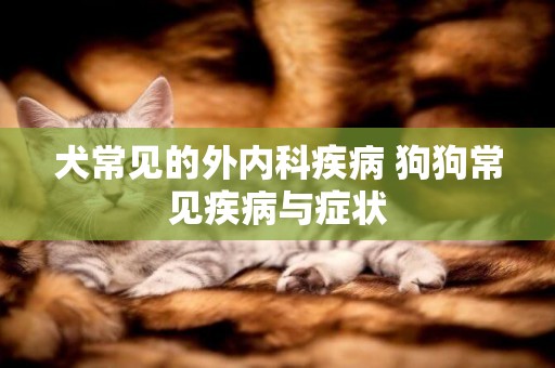 犬常見的外內科疾病 狗狗常見疾病與癥狀