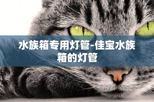 水族箱專用燈管-佳寶水族箱的燈管