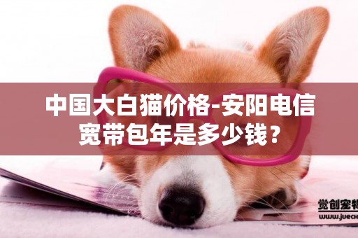 中國大白貓價格-安陽電信寬帶包年是多少錢？