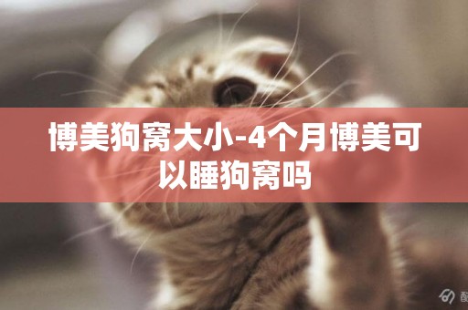 博美狗窩大小-4個月博美可以睡狗窩嗎