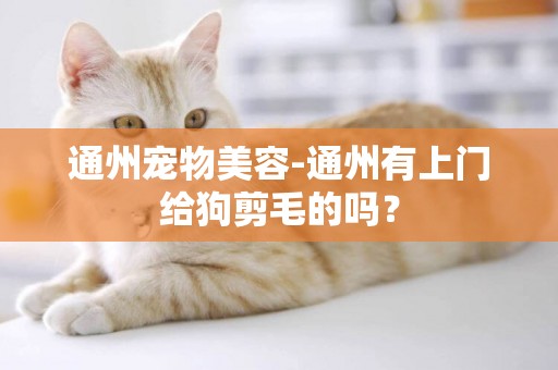 通州寵物美容-通州有上門給狗剪毛的嗎？