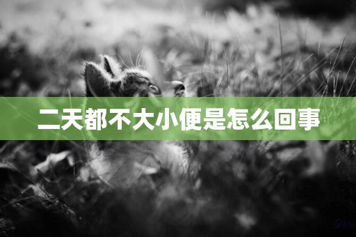 二天都不大小便是怎么回事