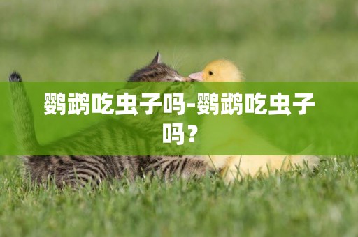 鸚鵡吃蟲子嗎-鸚鵡吃蟲子嗎？