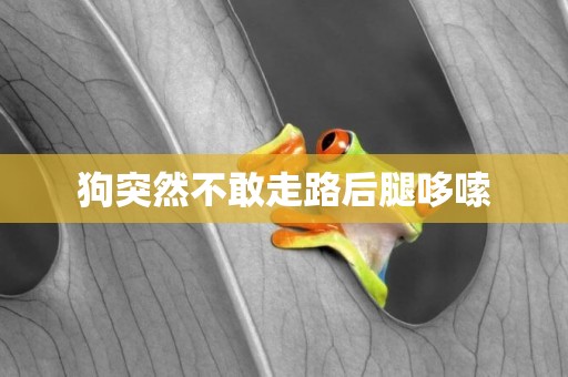 狗突然不敢走路后腿哆嗦
