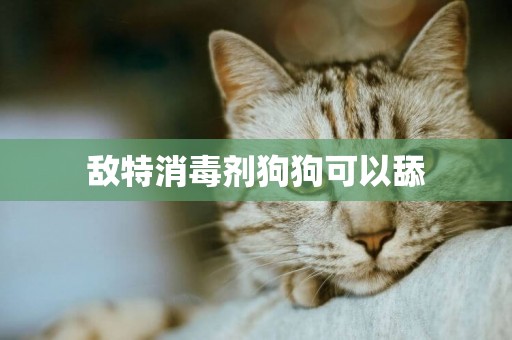 敵特消毒劑狗狗可以舔