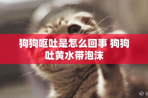 狗狗嘔吐是怎么回事 狗狗吐黃水帶泡沫
