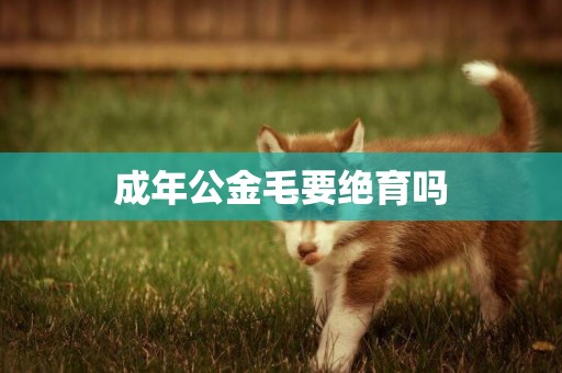 成年公金毛要絕育嗎