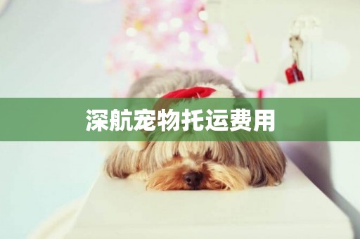 深航寵物托運費用